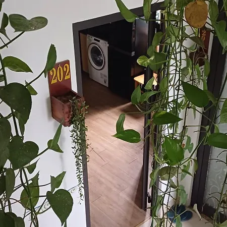 Seashine Apartment Danang Room photo