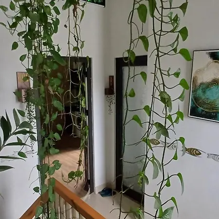 Seashine Apartment Danang Exterior photo
