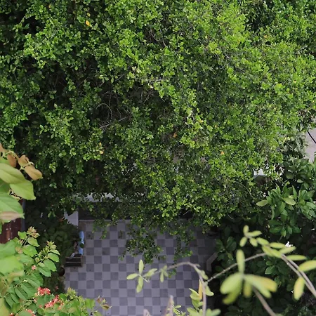 Seashine Apartment Danang Exterior photo