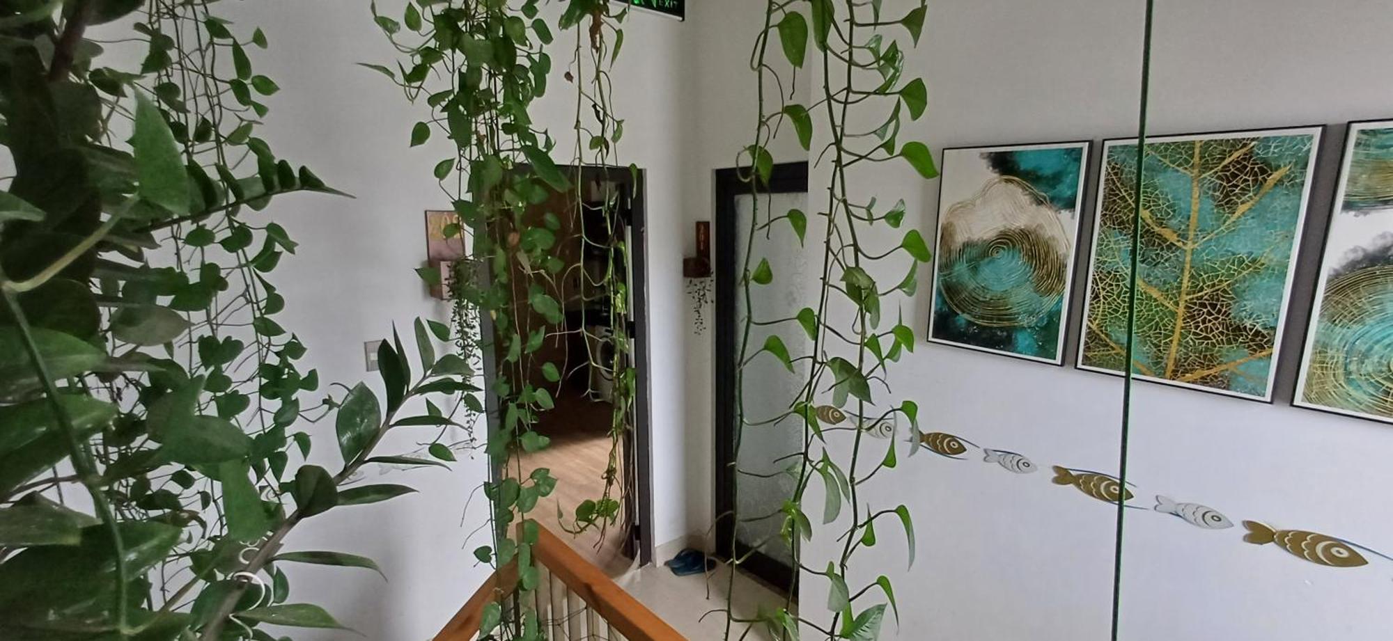Apartment Seashine Đà Nẵng